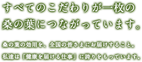 山本桑園 和歌山県日高郡 桑の葉茶